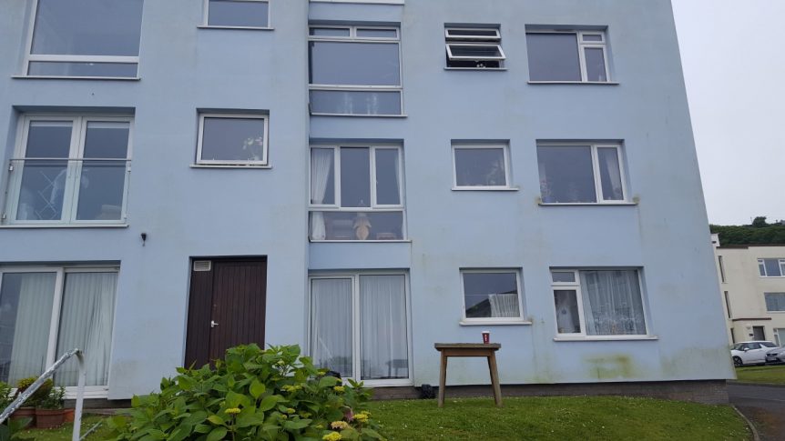 Fungus Infections on exteriors walls to be treated by Mark&#039;s Cleaning and Restoration services using soft washing