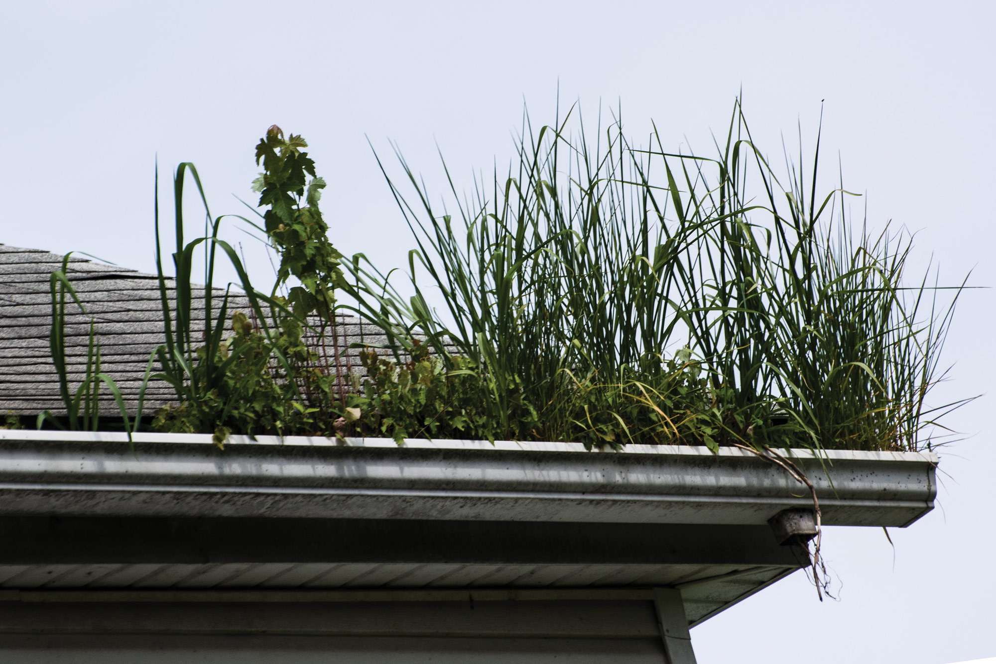 Guttering cleaning & restoration in the South West with Mark's Cleaning