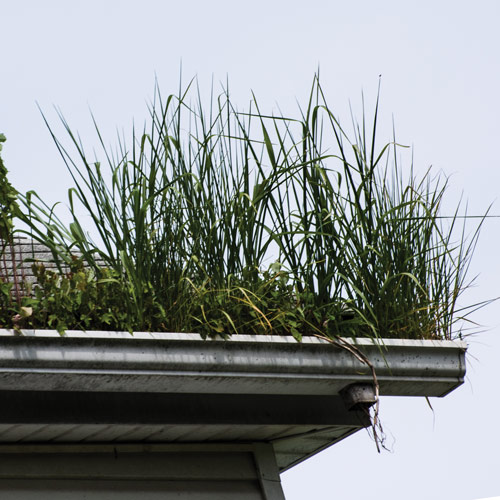 Cleaning & restoration for guttering using a pressure washer